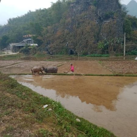 Truong Huy Homestay Mai Châu Ngoại thất bức ảnh