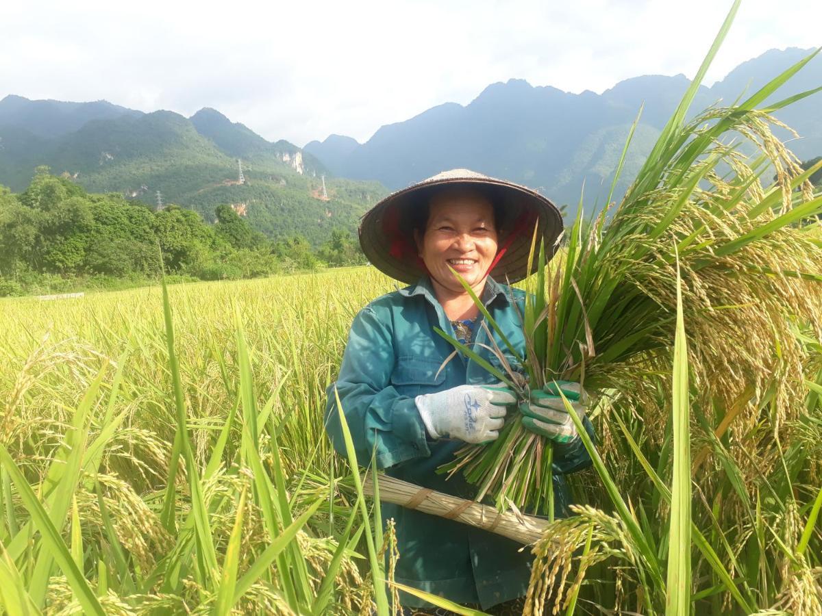 Truong Huy Homestay Mai Châu Ngoại thất bức ảnh