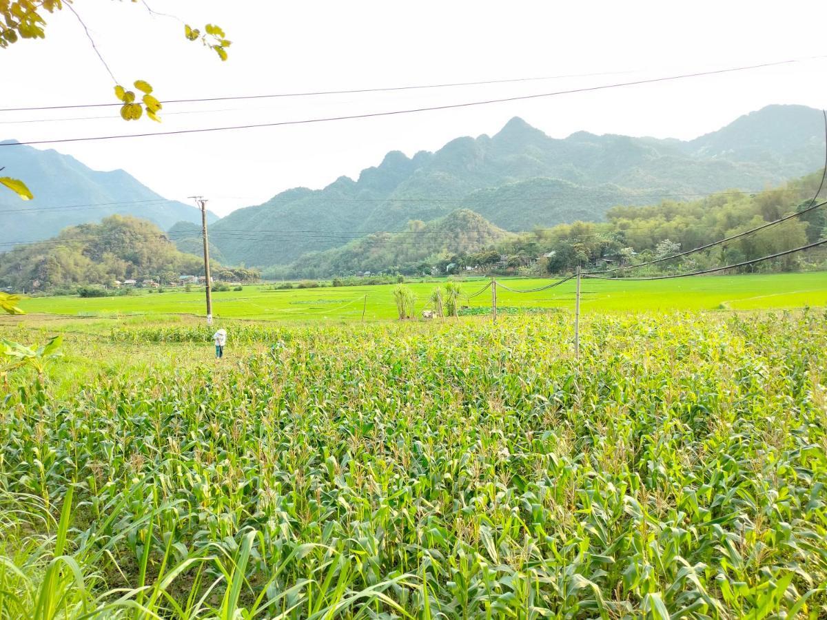 Truong Huy Homestay Mai Châu Ngoại thất bức ảnh