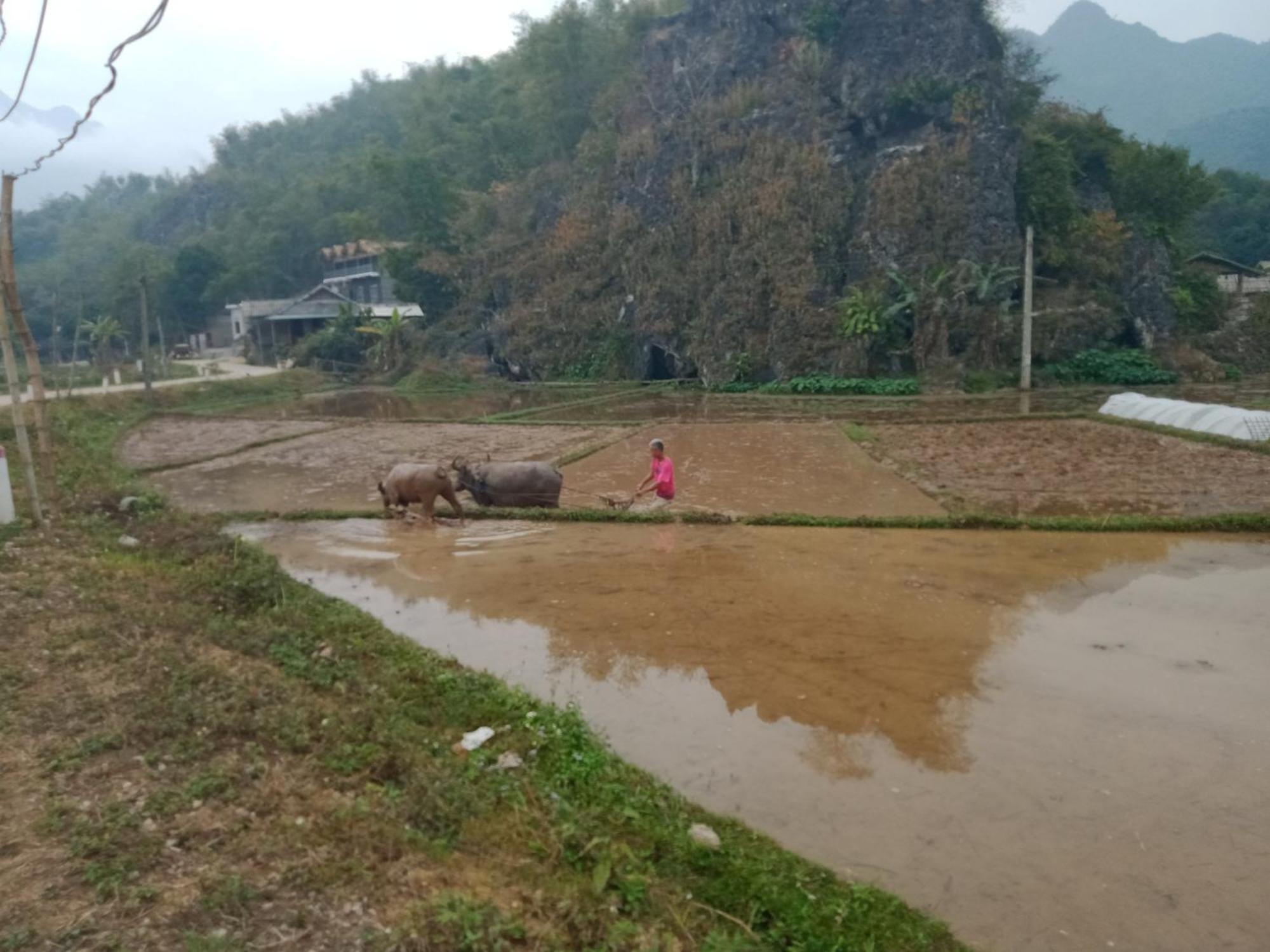 Truong Huy Homestay Mai Châu Ngoại thất bức ảnh