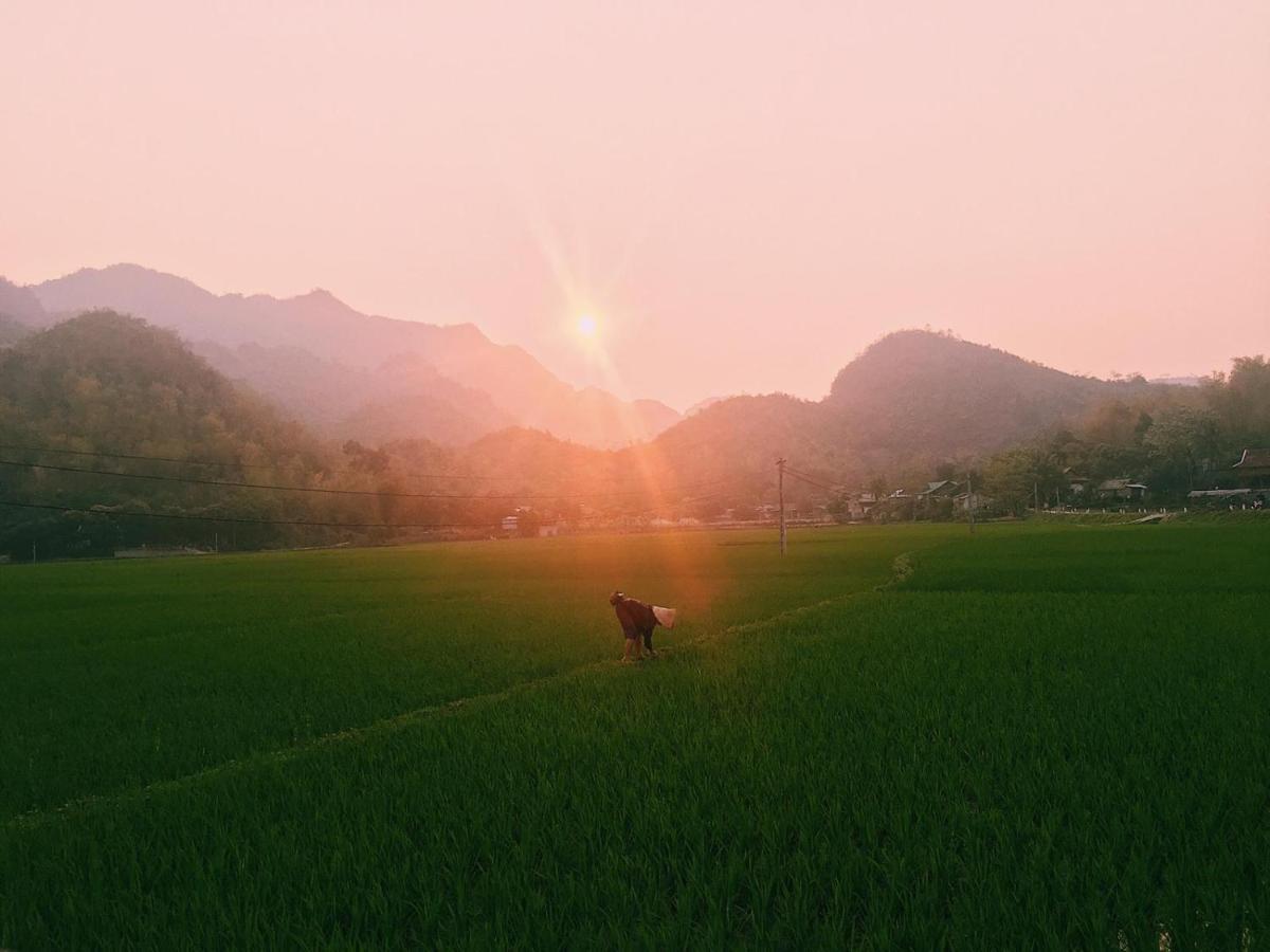 Truong Huy Homestay Mai Châu Ngoại thất bức ảnh